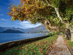 Jezioro, Jesień, Drzewa, Lago di Como, Włochy, Aleja