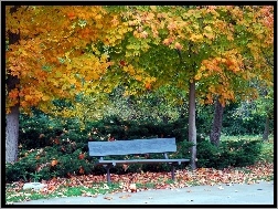 Ławeczka, Jesień, Park