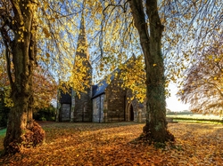 Promienie słońca, Hrabstwo Tyrone, Drzewa, Kościół, Strabane, Irlandia Północna, Jesień