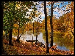 Łódka, Drzewa, Jesień, Rzeka