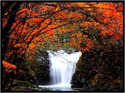 Drzewa, Jesień, Wodospad