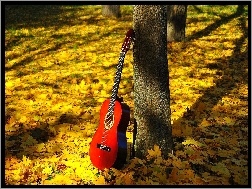 Jesień, Las, Gitara, Liście