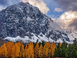 Śnieg, Góry, Jesień, Drzewa