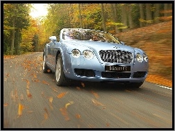 Jesień, Bentley Continental GTC, Liście