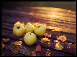 Jesień, Liście, Jabłka, Ławka