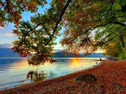 Jesień, Słońca, Wschód, Jezioro, Drzewo