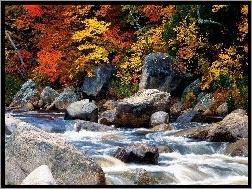 Kamienie, Jesień, Rzeka
