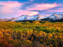 Góry, Kolorado, Przełęcz, Drzewa, Lasy, Kebler Pass, Stany Zjednoczone, Jesień