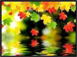 Liście, Jesień, Kolorowe