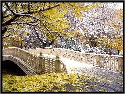 Jesień, Central Park, Nowy York