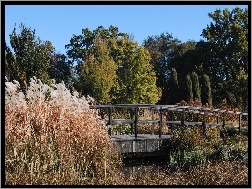 Ogród, Jesień, Mostek