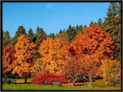 Jesień, Park