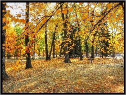 Jesień, Alejki, Park, Ławki