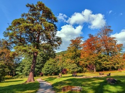 Ścieżka, Park, Jesień, Drzewa