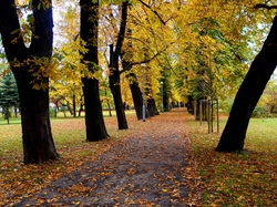 Jesień, Alejka, Droga, Park, Drzewa