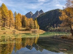 Jesień, Góry, Alpy Retyckie, Kanton Gryzonia, Szwajcaria, Drzewa, Jezioro Lai da Palpuogna, Modrzewie