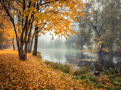 Jesień, Poranek, Drzewa, Rzeka, Mgła