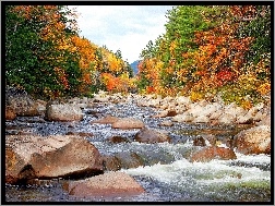 Jesień, Kamienie, Rzeka, Drzewa