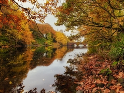Jesień, Mostek, Rzeka, Drzewa