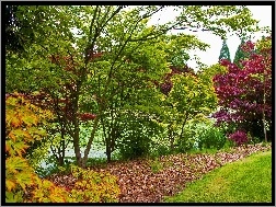 Jesień, Botaniczny, Ogród, Rzeka, Vancouver