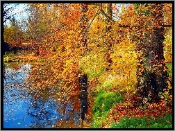 Jesień, Drzewa, Park, Rzeka, Liście
