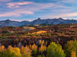 Drzewa, Las, Jesień, Kolorado, Stany Zjednoczone, Góry, Telluride, San Juan Mountains