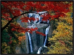 Jesień, Skały, Wodospad, Drzewa