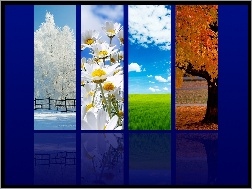 Jesień, Wiosna, Zima, Lato