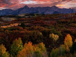 Lasy, Stany Zjednoczone, Dallas Divide, Góry, Kolorado, Jesień