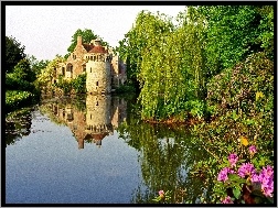 Jeziorko, Kent, Anglia, Kwiatki, Zamek, Drzewa