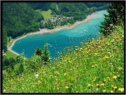 Jezioro, Glarus, Szwajcaria, Zalesione, Łąka, Góry
