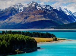 Jezioro Pukaki, Lasy, Drzewa, Góry, Wyspa Południowa, Nowa Zelandia, Alpy Południowe, Park Narodowy Góry Cooka, Góra Cooka