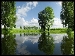 Drzewa, Jezioro, Łąki
