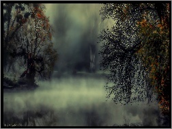 Drzewa, Jezioro, Mgła