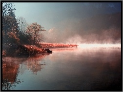 Drzewa, Jezioro, Mgła