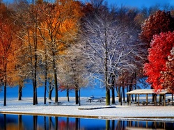 Jezioro, Park, Drzewa, Śnieg