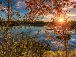 Drzewa, Jezioro, Nowy Brunszwik, Kanada, Promienie słońca