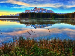 Trawa, Prowincja Alberta, Las, Góry, Park Narodowy Banff, Kanada, Jezioro