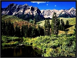 Jezioro, Las, Góry, Idaho, Łąki