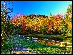 Jezioro, Kolorowe, Jesień, Drzewa