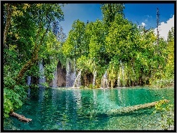 Park Narodowy Jezior Plitwickich, Drzewa, Wodospad, Plitvice, Chorwacja, Jezioro