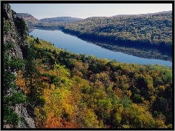 Las, Jezioro, Widok