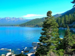 Jezioro, Kamienie, Świerki, Tahoe, Nevada, Lasy