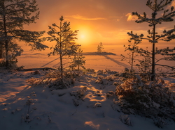 Drzewa, Zima, Śnieg, Ringerike, Norwegia, Zaśnieżone, Zachód słońca, Jezioro