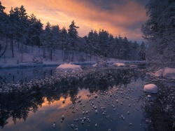 Jezioro, Drzewa, Ringerike, Norwegia, Zima