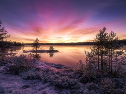 Ringerike, Jezioro, Drzewa, Zima, Norwegia, Zachód słońca