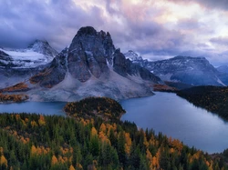 Jezioro Magog, Lasy, Mount Assiniboine, Kanada, Alberta, Góry Skaliste, Jeziora