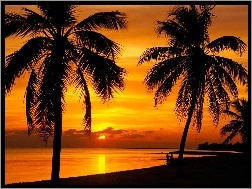 Jezioro, Zachód Słońca, Palmy