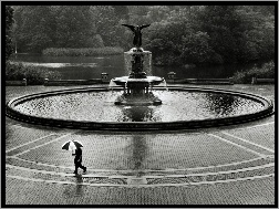 Nowy Jork, fontana