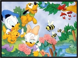 Kaczor Donald, owady, kwiaty